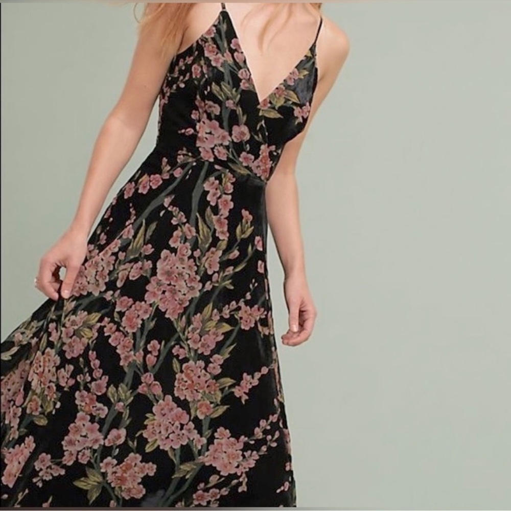Anthropologie Eri + Ali Velvet Burnout Kora Slip Dress, Size 2